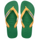 Havaianas Brasil Logo